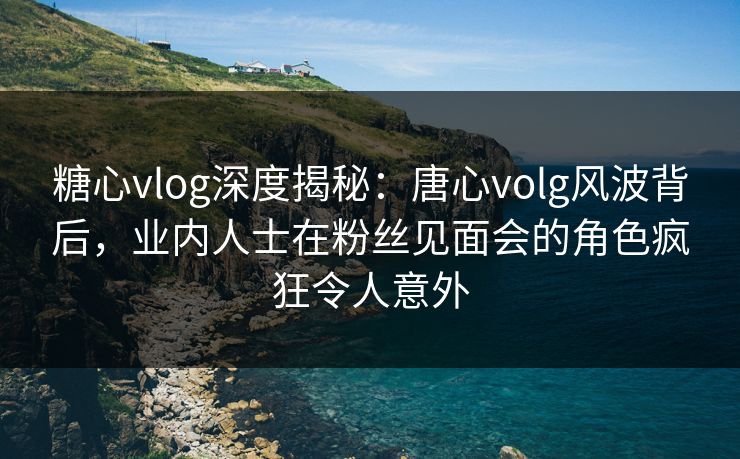 糖心vlog深度揭秘：唐心volg风波背后，业内人士在粉丝见面会的角色疯狂令人意外